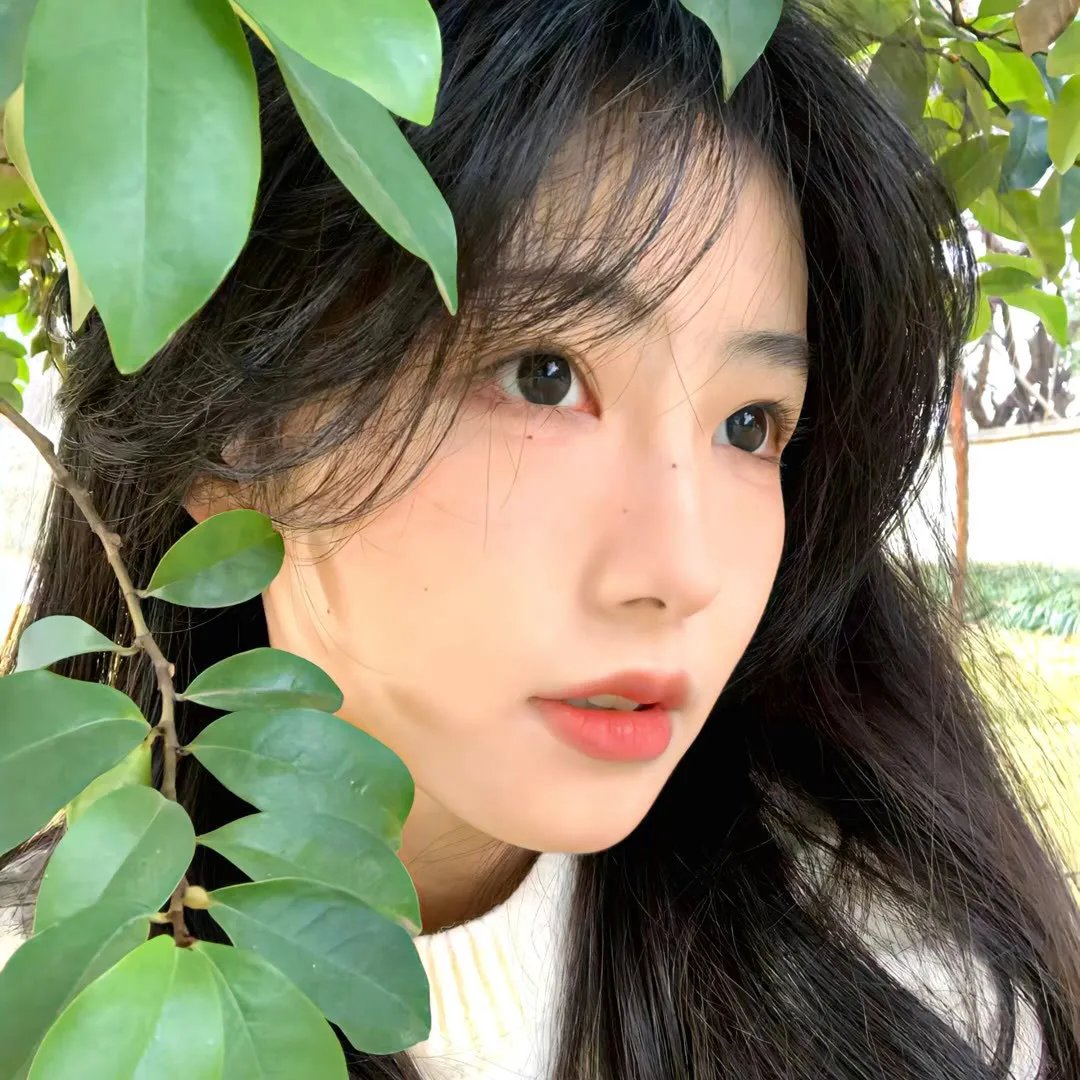 疯狂的麦咭第一季